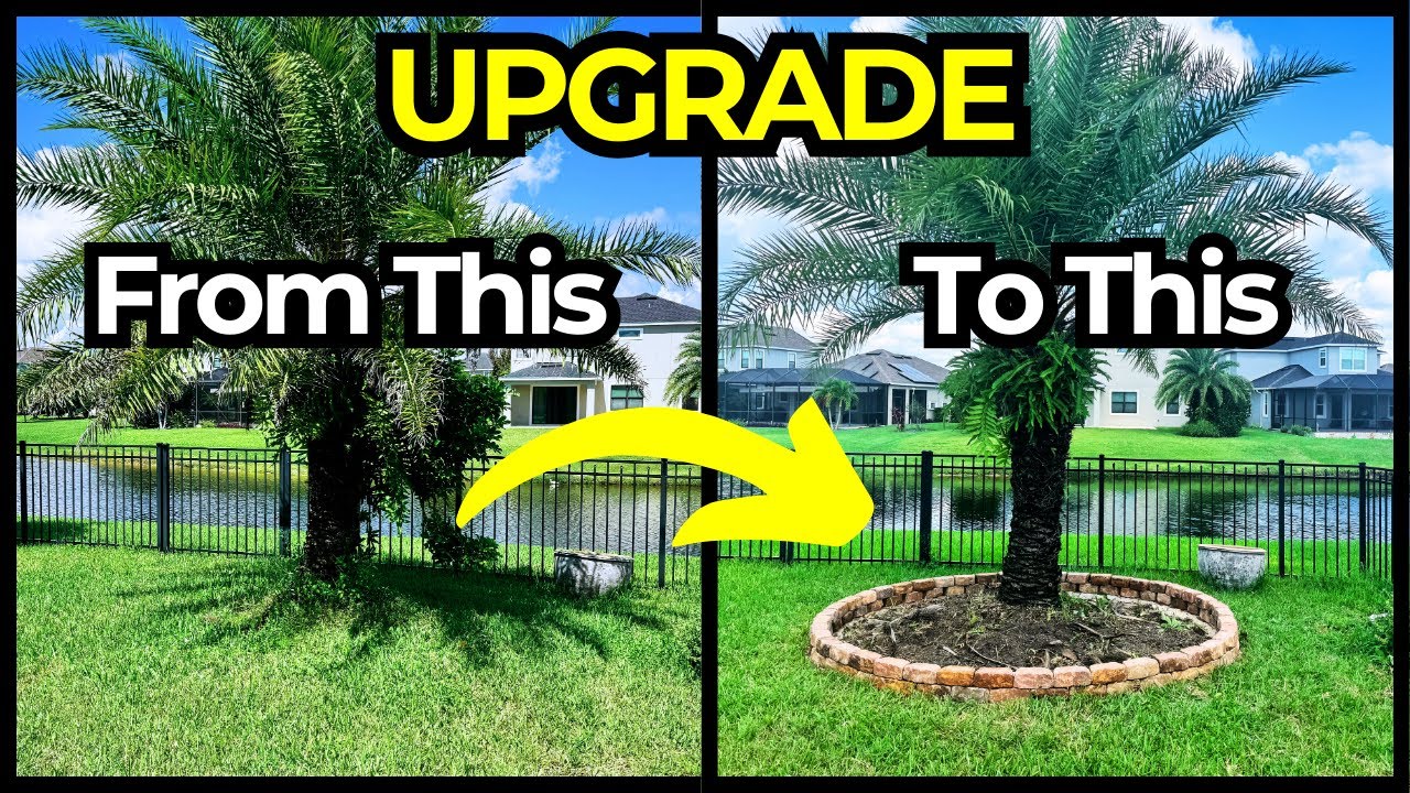 Elevate Your Landscape with a STUNNING Tree Ring Border!