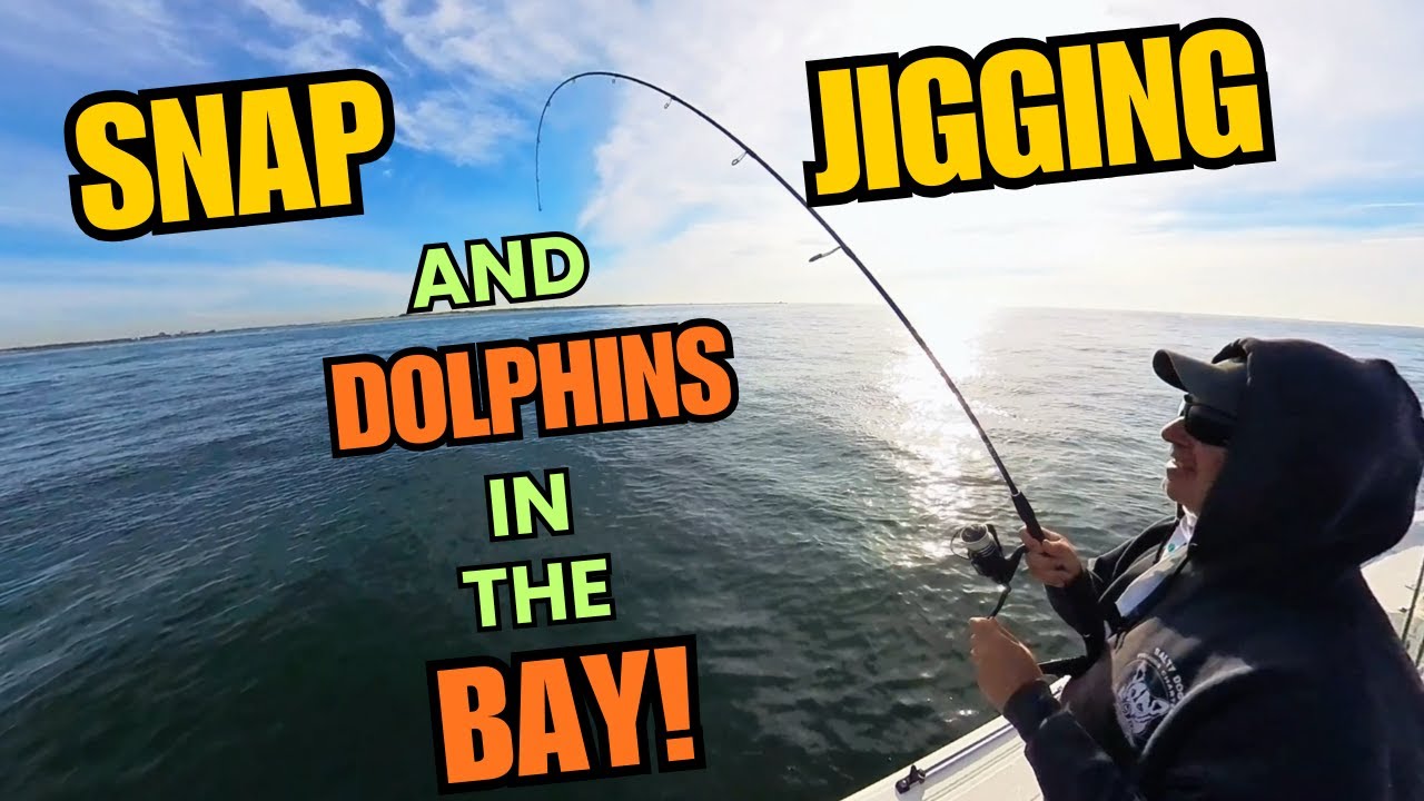 SNAP JIGGING OVER STRUCTURE/SEEING DOLPHINS IN THE BAY