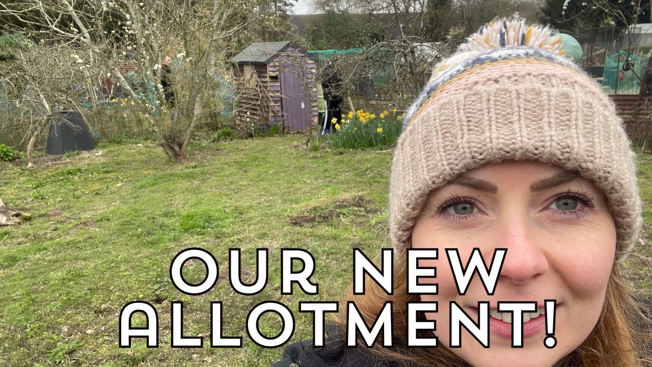 Первая неделя на нашем новом дачном участке - Садоводство на дачном участке в Великобритании - Ви...