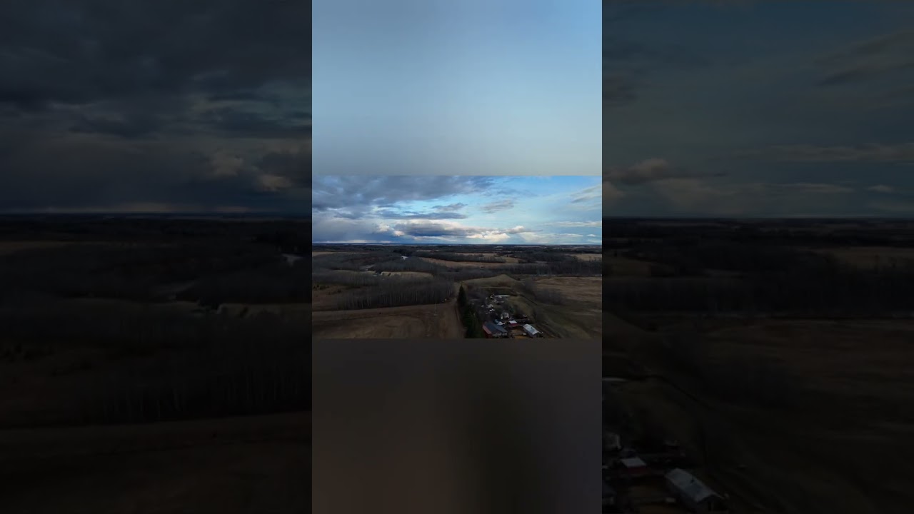 TARA ILILIPAD ko kayo sa bukirin mga kalipad