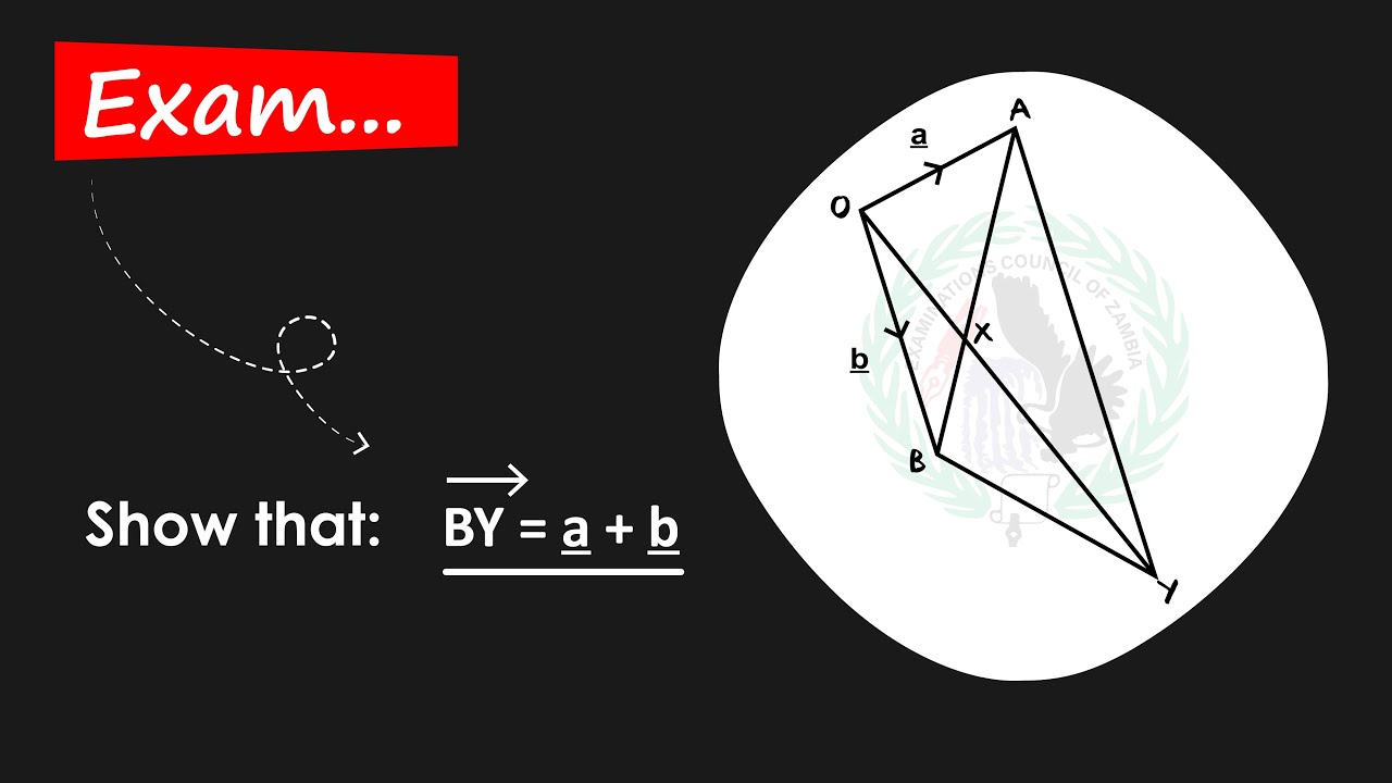 Vectors: 2024 P2 (GCE) Exam Solved!