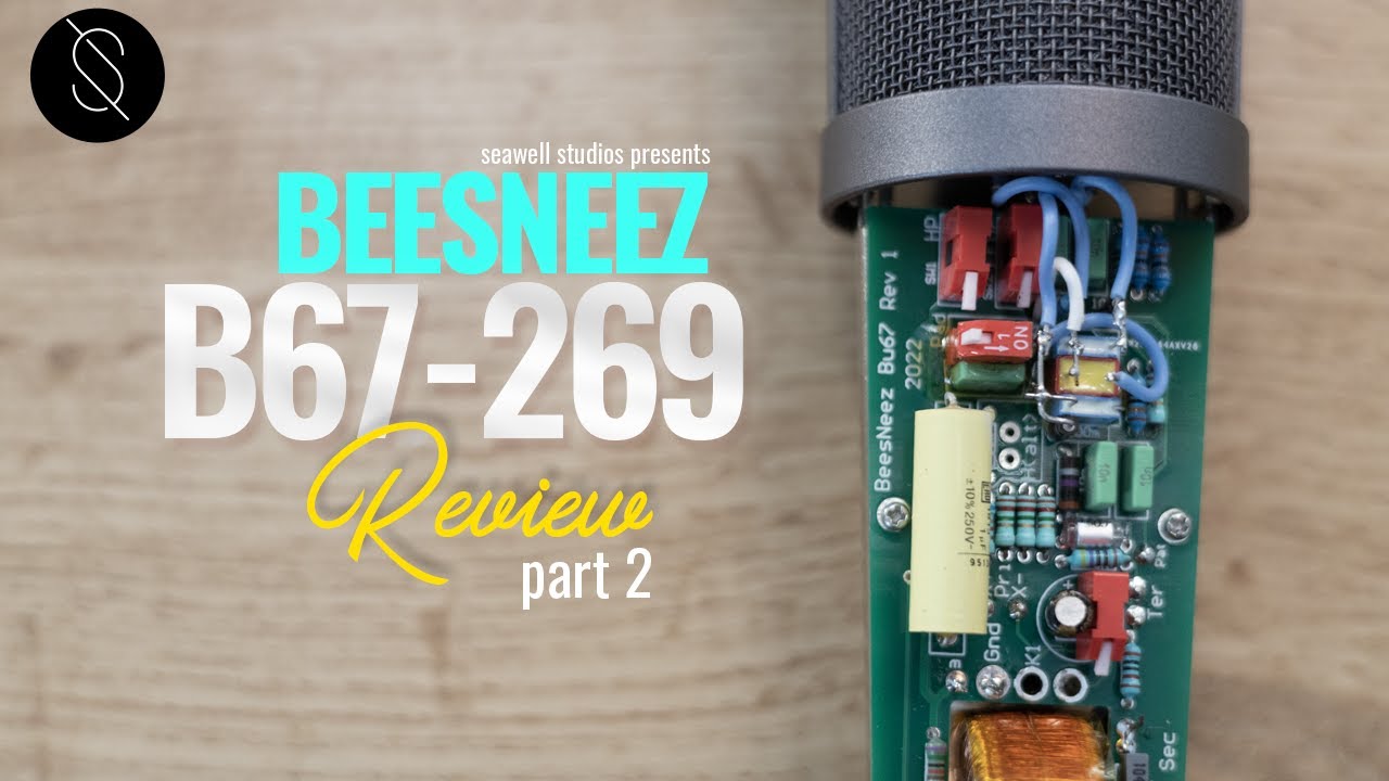 Обзор BeesNeez B67-269 | Часть 2: Различные режимы микрофона