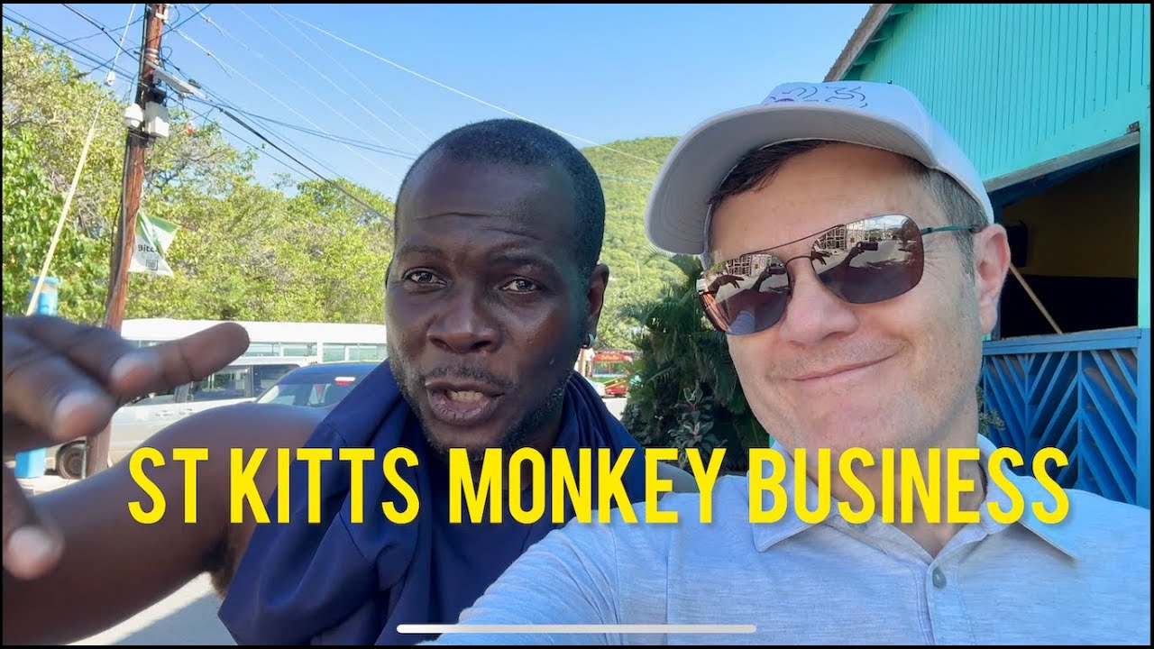 St. Kitts: Drunk Monkeys, Well Paid Criminals & The Best Things About Life on the Island