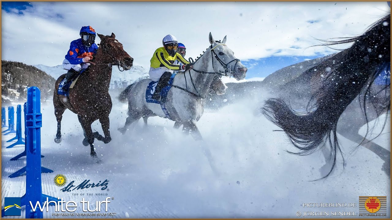 White Turf St. Moritz 2025 privat