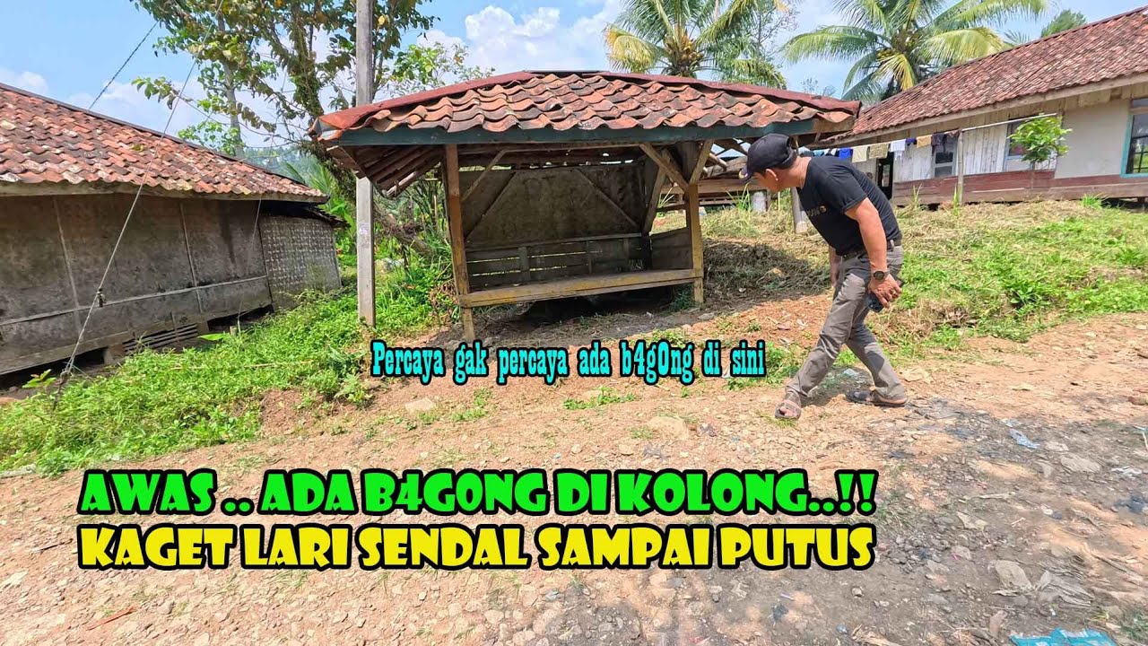 ALANGKAH KAGETNYA ADA B4G0Y DI KOLONG POS RONDA...Seumur Umur Bali Kali Ini Ngalamin Seperti Ini.