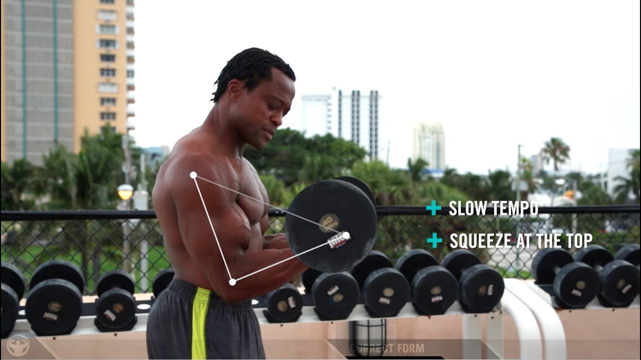 BARBELL BICEP CURLS: The Grandaddy of bicep exercises. Show your muscles off!