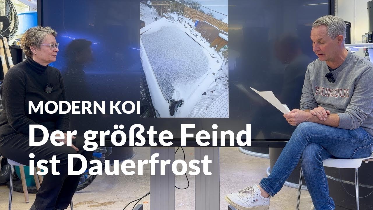 Wie gut funktioniert Überwinterung ohne Heizung und Filter ? | Modern Koi Blog #7914