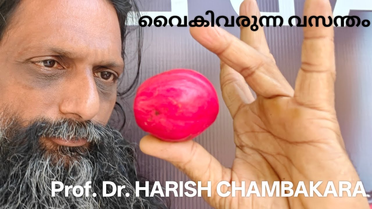 വൈകിവന്ന വസന്തം.. Prof. Dr. HARISH CHAMBAKARA 