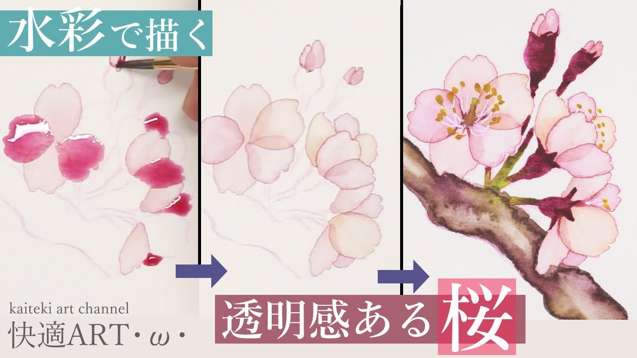 【描き方解説】水彩で簡単リアルに桜を描く🌸　初心者向け【watercolor】How to draw realistic cherryblossom easily＆Tips for beginner