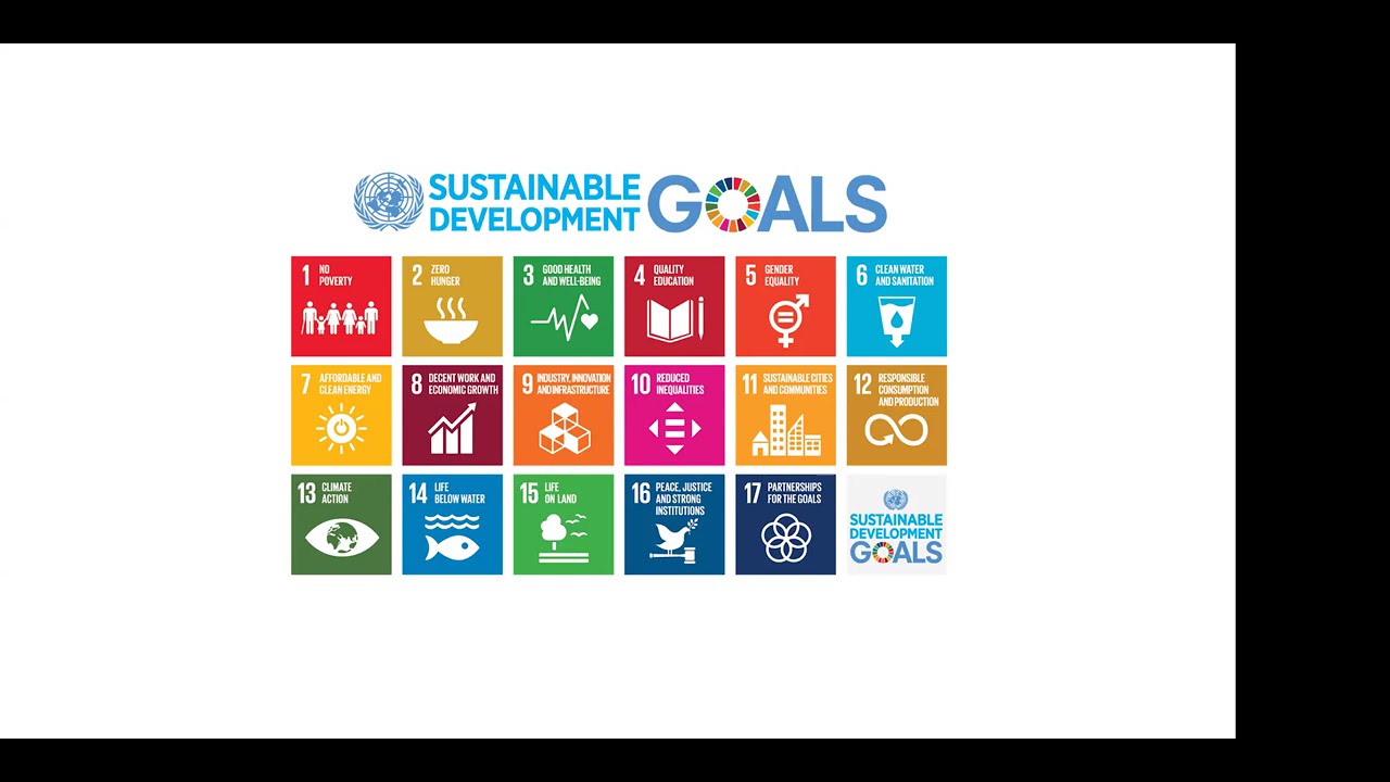 Digitalization of Agrifood Supply Chains & the impact on Social Sustainability