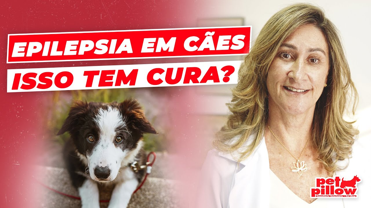 Cachorro com epilepsia: saiba o que fazer | Dra. Michele Sandrault