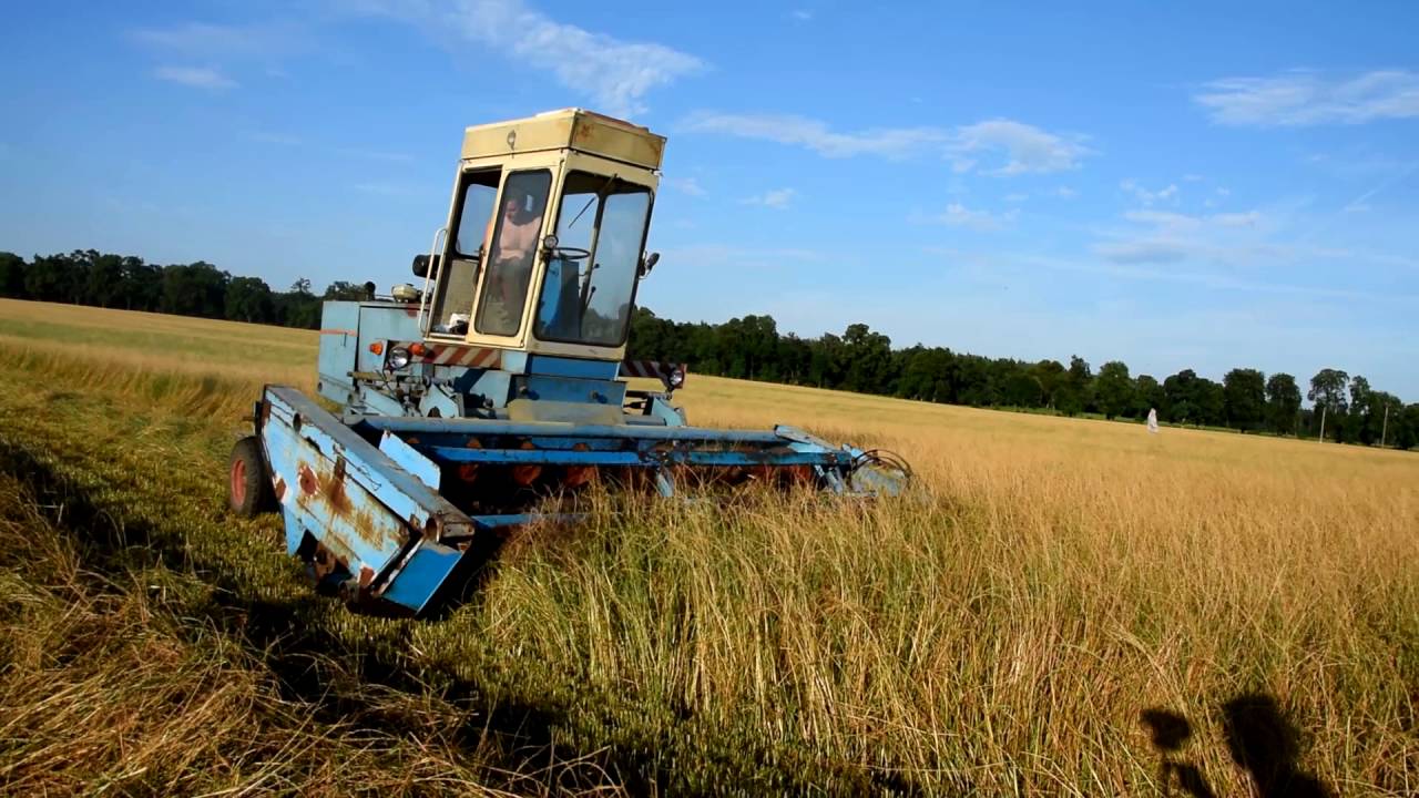 Koszenie trawy nasiennej w majątku Rogalin, Fortschritt E301 w pracy WWW.RATAJAK.PL
