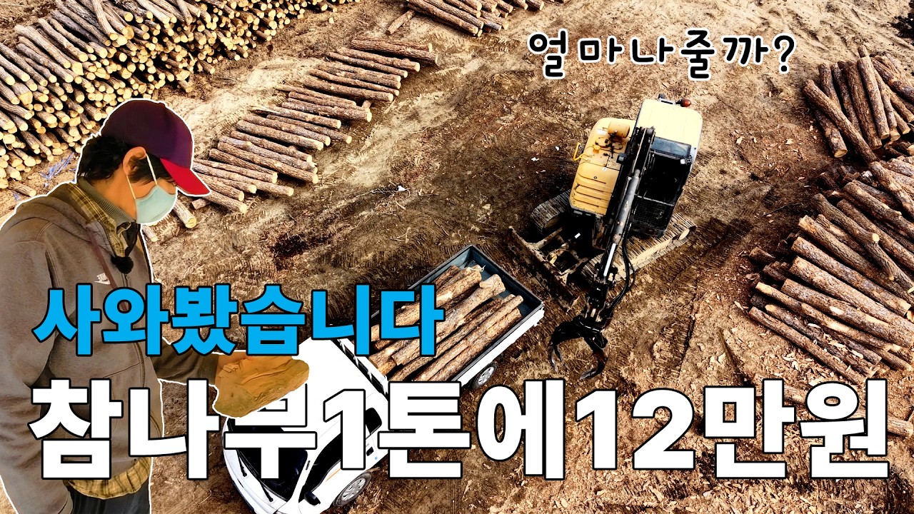 1톤에 12만원 참나무 장작 직접가서 구입하기 #화목난로 #벽난로 #시골생활