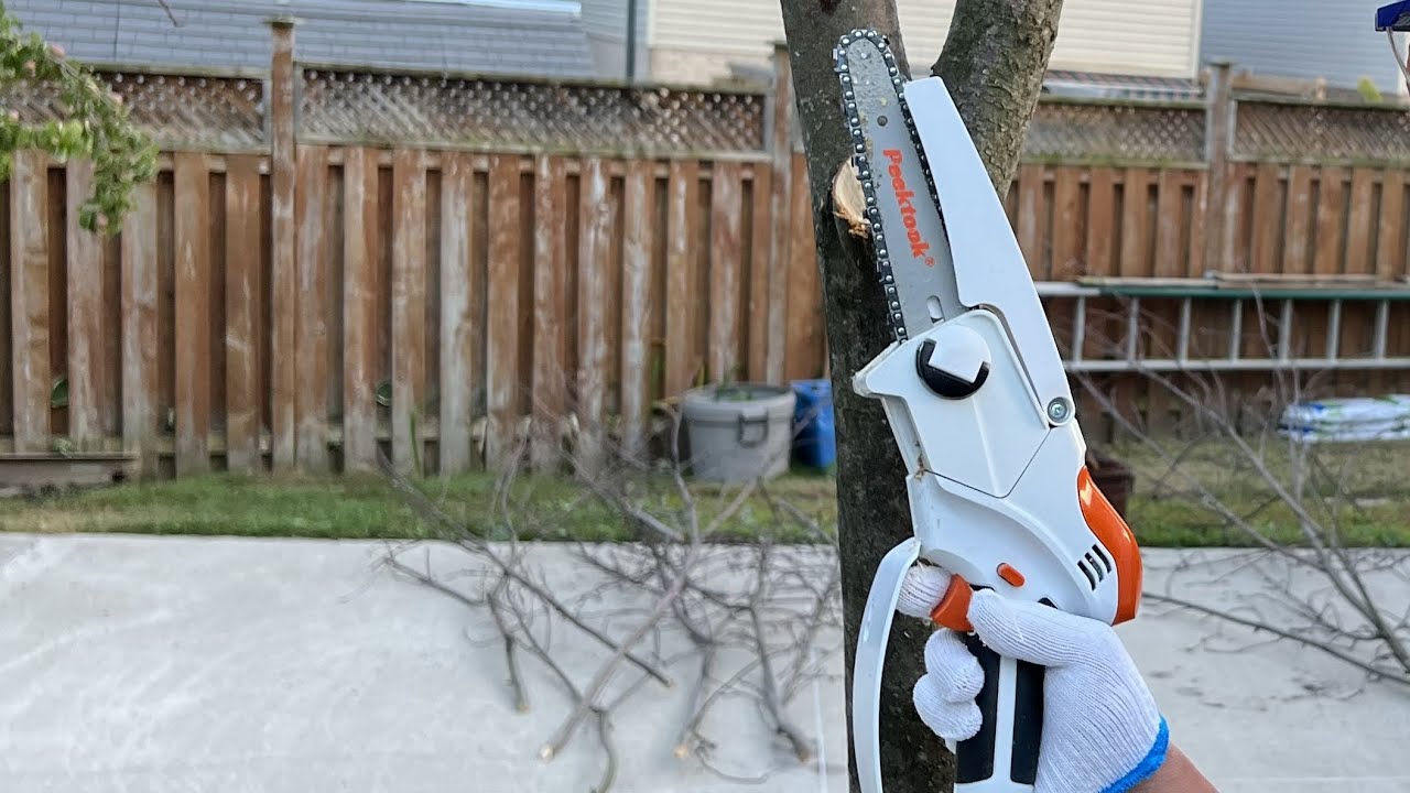 Testing Out The New 6” Peektook Mini Chainsaw