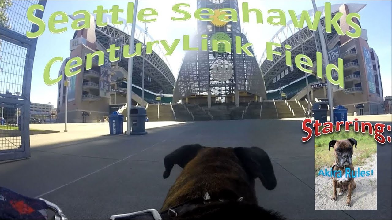 Seattle Seahawks CenturyLink Field Starring Akira With GoPro