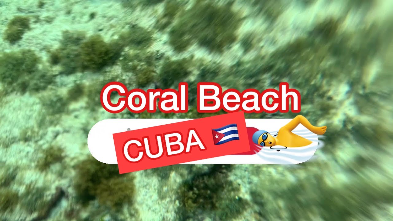 Jeep Safari - Coral Beach, Varadero I Travel Cuba l Snorkeling