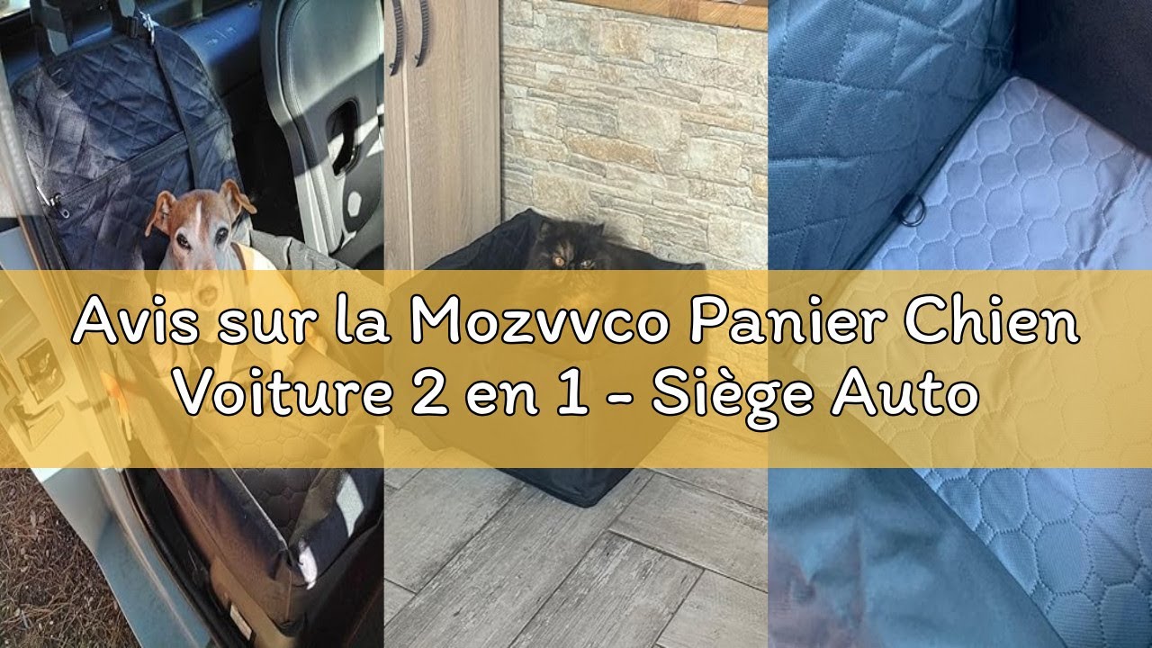 Avis sur la Mozvvco Panier Chien Voiture 2 en 1 - Siège Auto Antidérapant pour Petite Taille Avec Ce