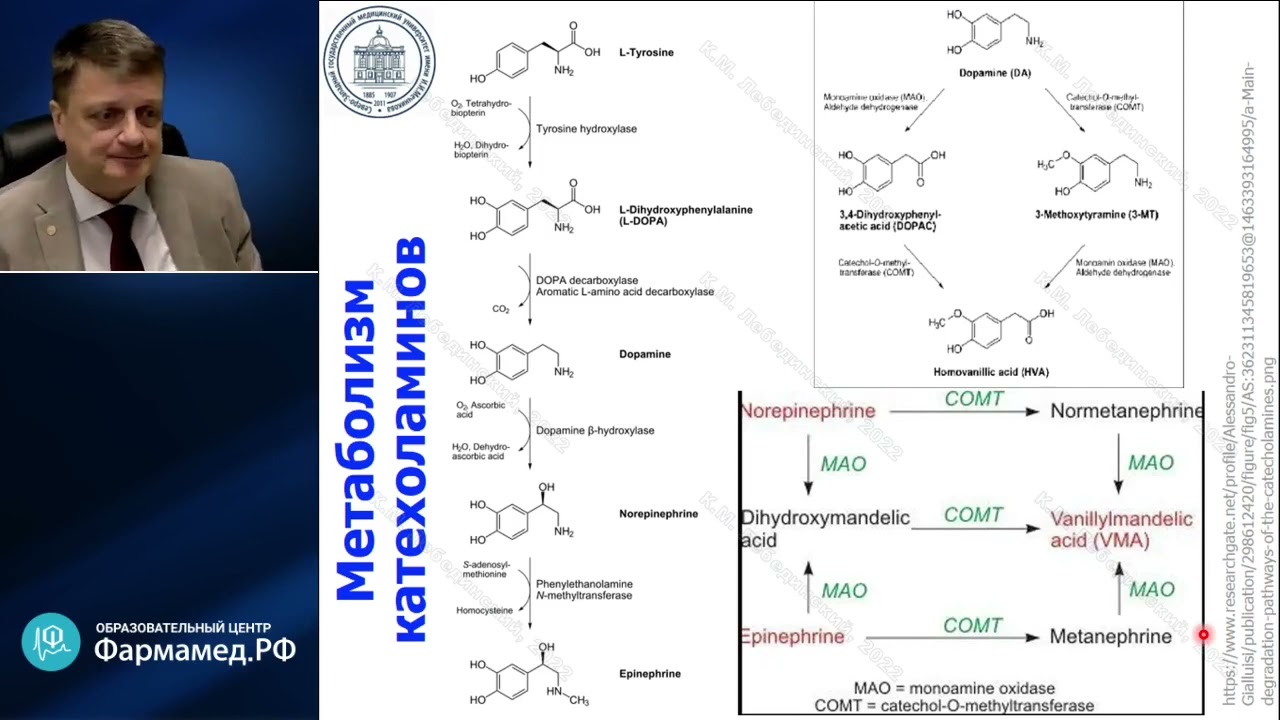 Физиология  рецепторов катехоламинов Лебединский КМ