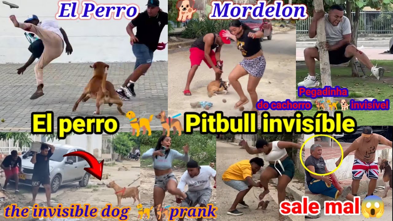 El perro Pitbull invisível/Pegadinha do cachorro invisível / the invisible dog prank