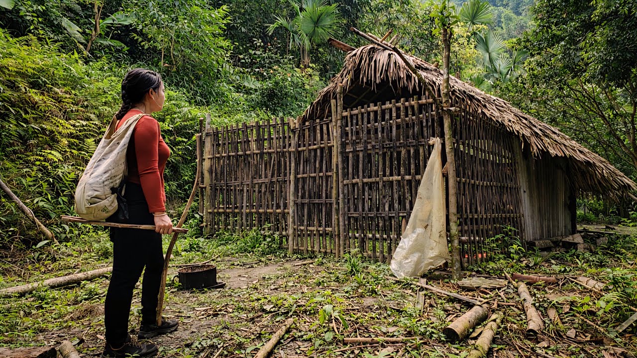 The girl, lost deep in the forest, chose an abandoned house as her shelter. Ly Phuc Linh