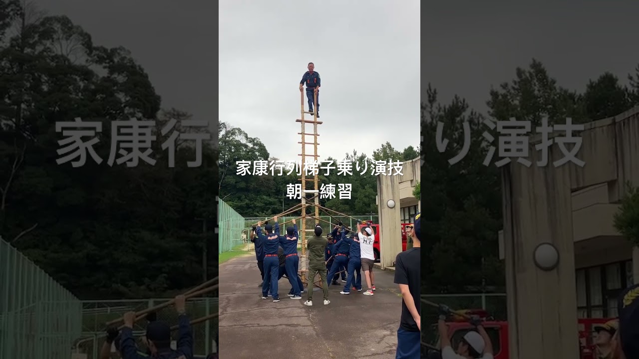 #消防団 #消防庁 家康行列梯子乗り演技🪜