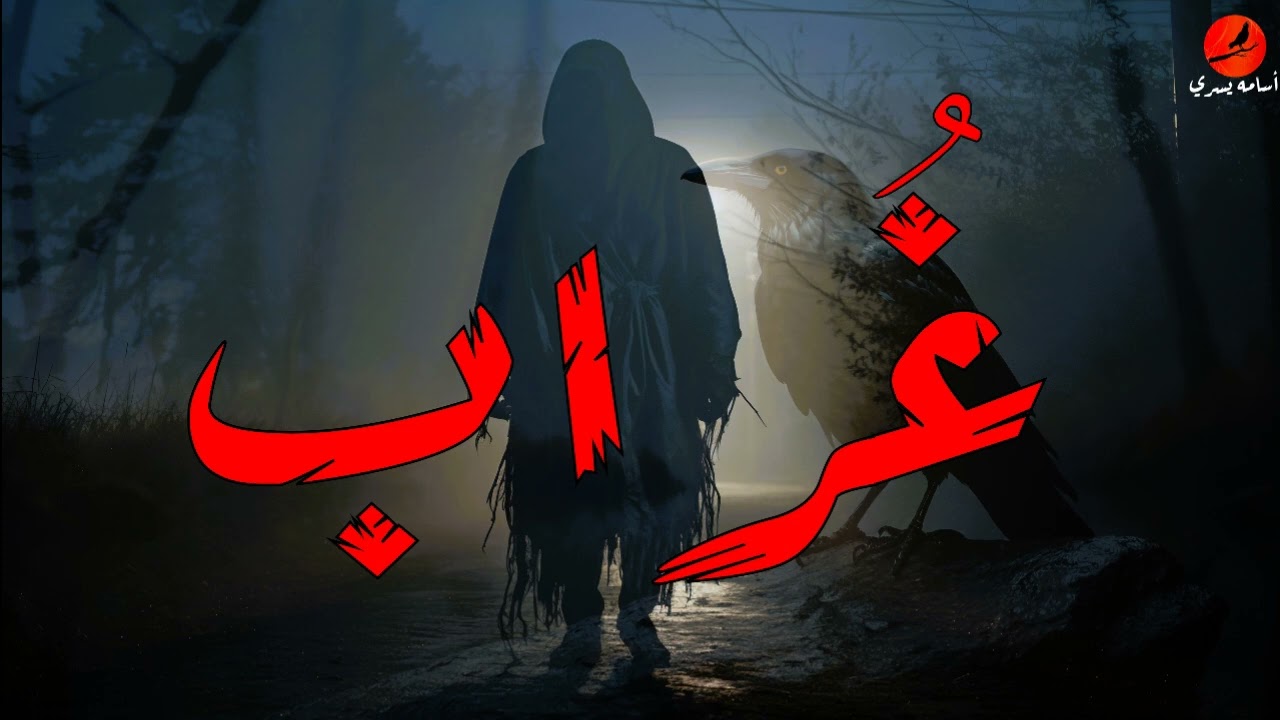 في إحدي المحادثات علي الإنترنت، تواجه 