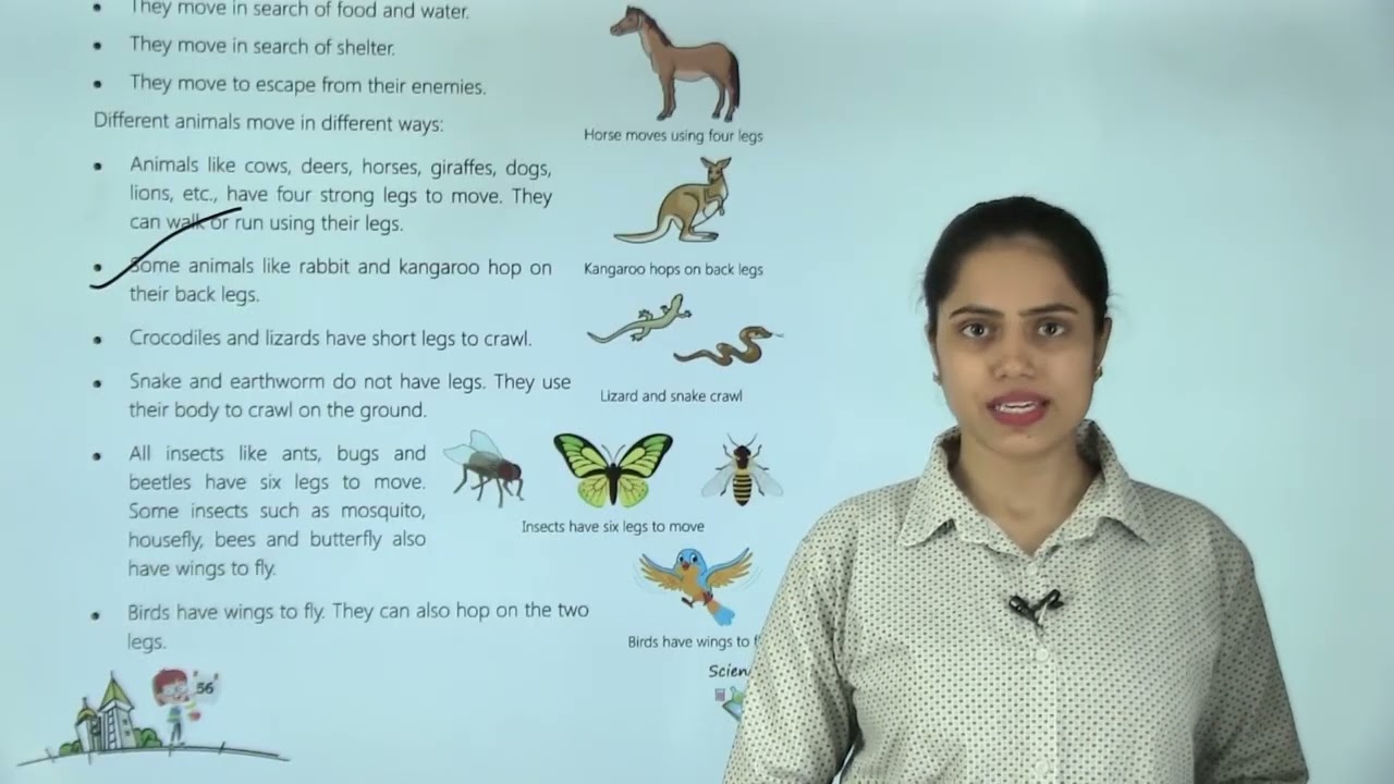 Ch 7 | Jayshree Publication | Science | Class 3 | Animals World  | For children