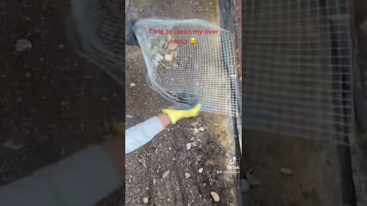 River rock cleaning