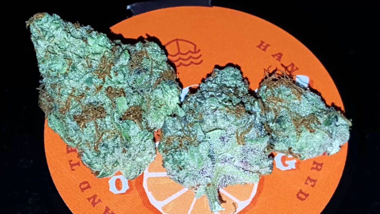 Strain Review - Rascal OG !!