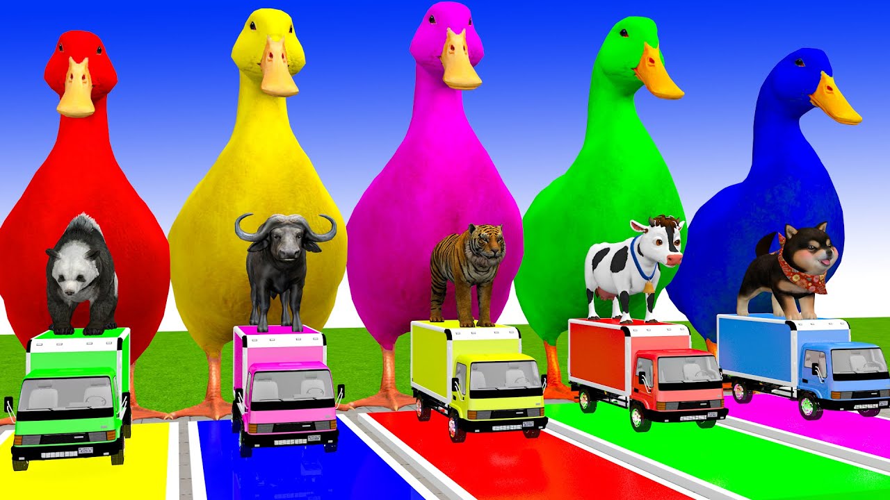 Long Slide Game With Cow Elephant Gorilla Hippopotamus Tiger 3d Animal Game Funny 3d Animals