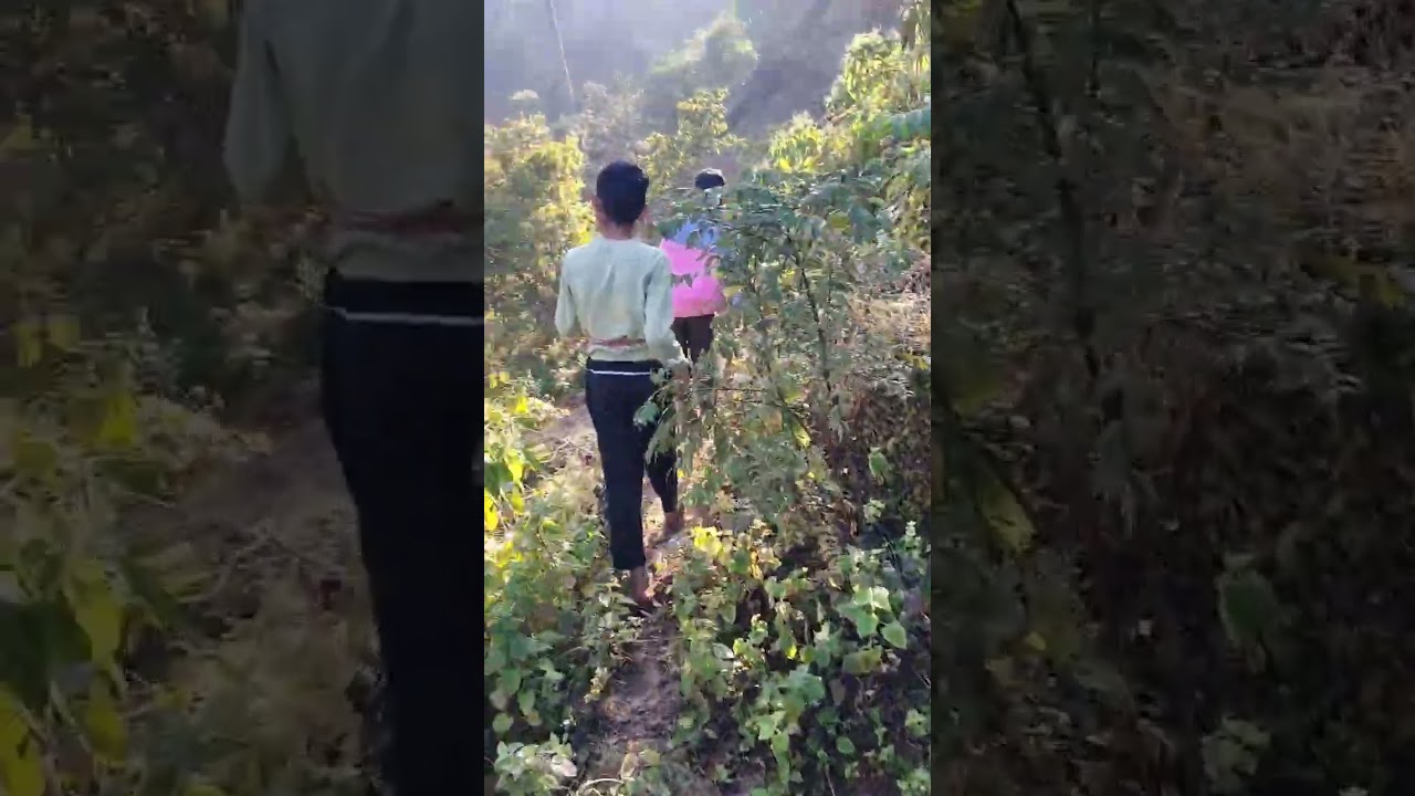 mini tracking vlog in jungle🏞️