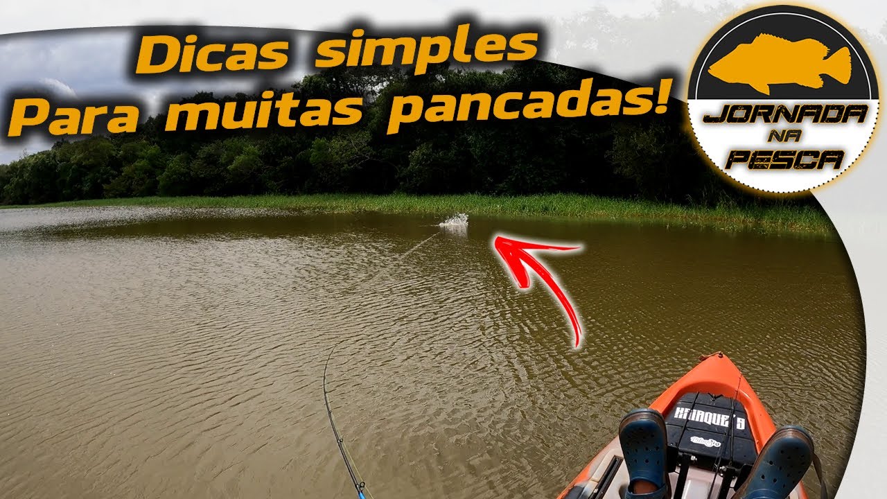 Tucunarés de PENCA na superfície! Dicas de materiais e locais para capturar MUITOS tucunarés