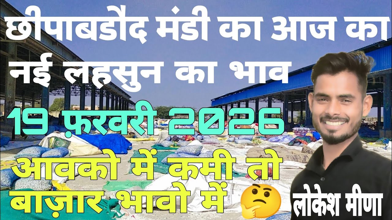 नई ऊटी लहसुन का भाव | Aaj Ka Ooty lahsun Ka Bhav | Aaj Ka Lahsun Ka Bhav | Chhipabarod Mandi ka Bhav