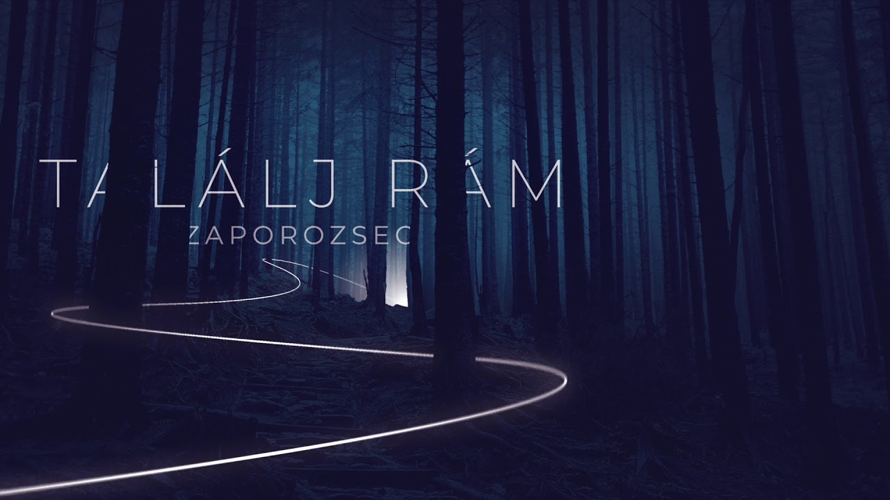 ZAPOROZSEC - Tal&aacute;lj r&aacute;m (A Dal 2020)