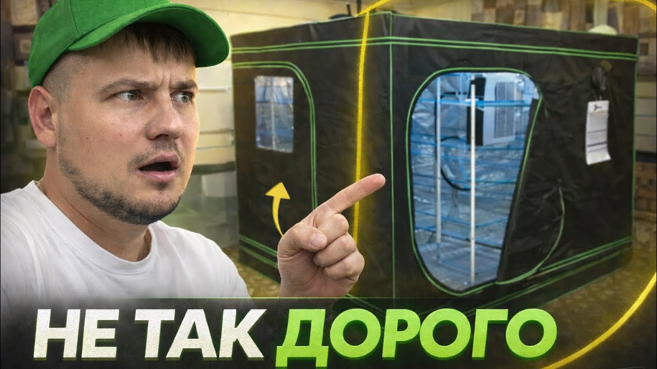 Грибной бизнес для начинающих: реальный старт без лишних затрат
