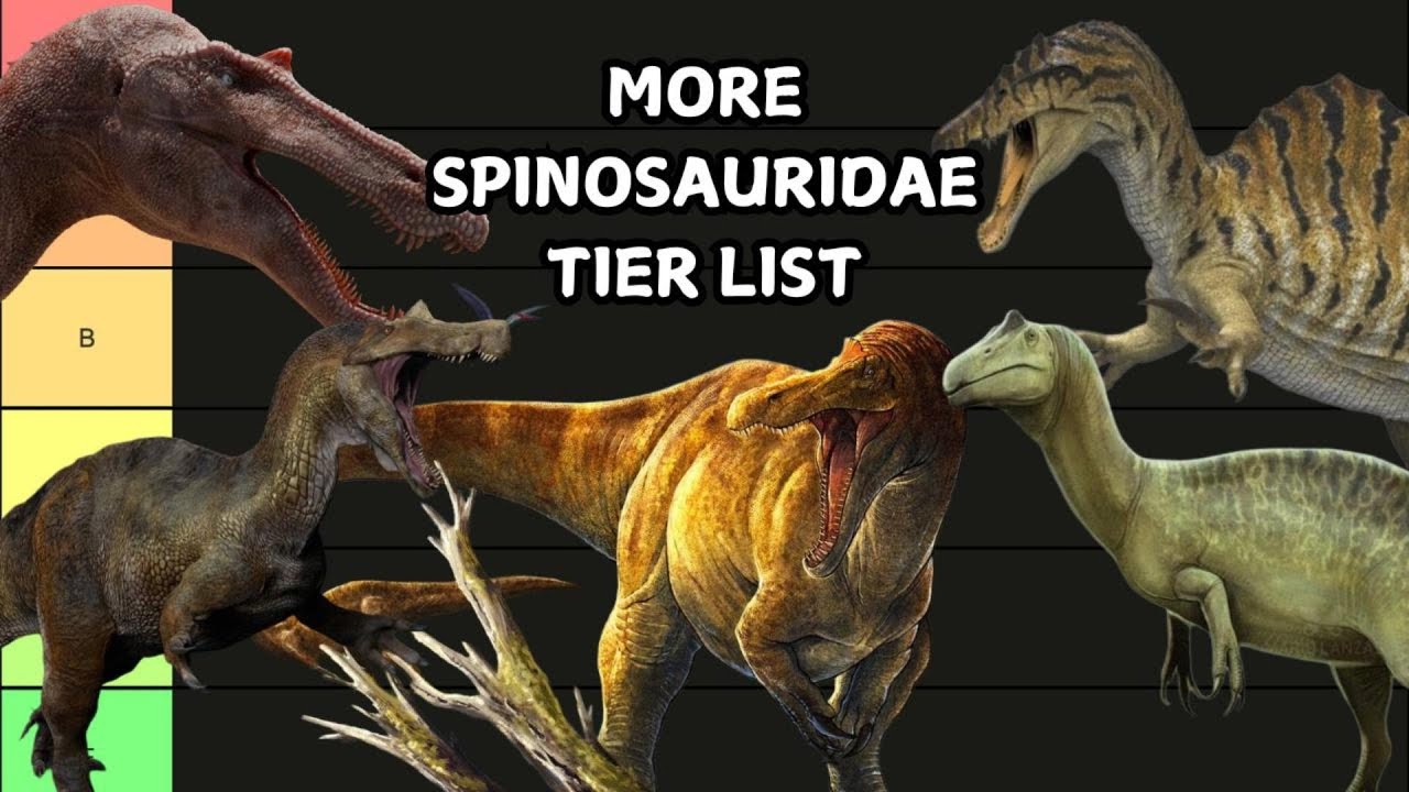 MORE SPINOSAURIDAE RANKING (TIER LIST)
