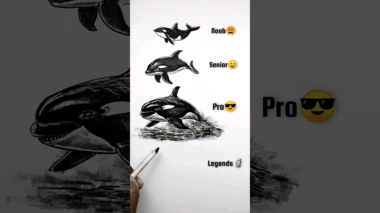 drawing Killer whale #shorts #drawing #art