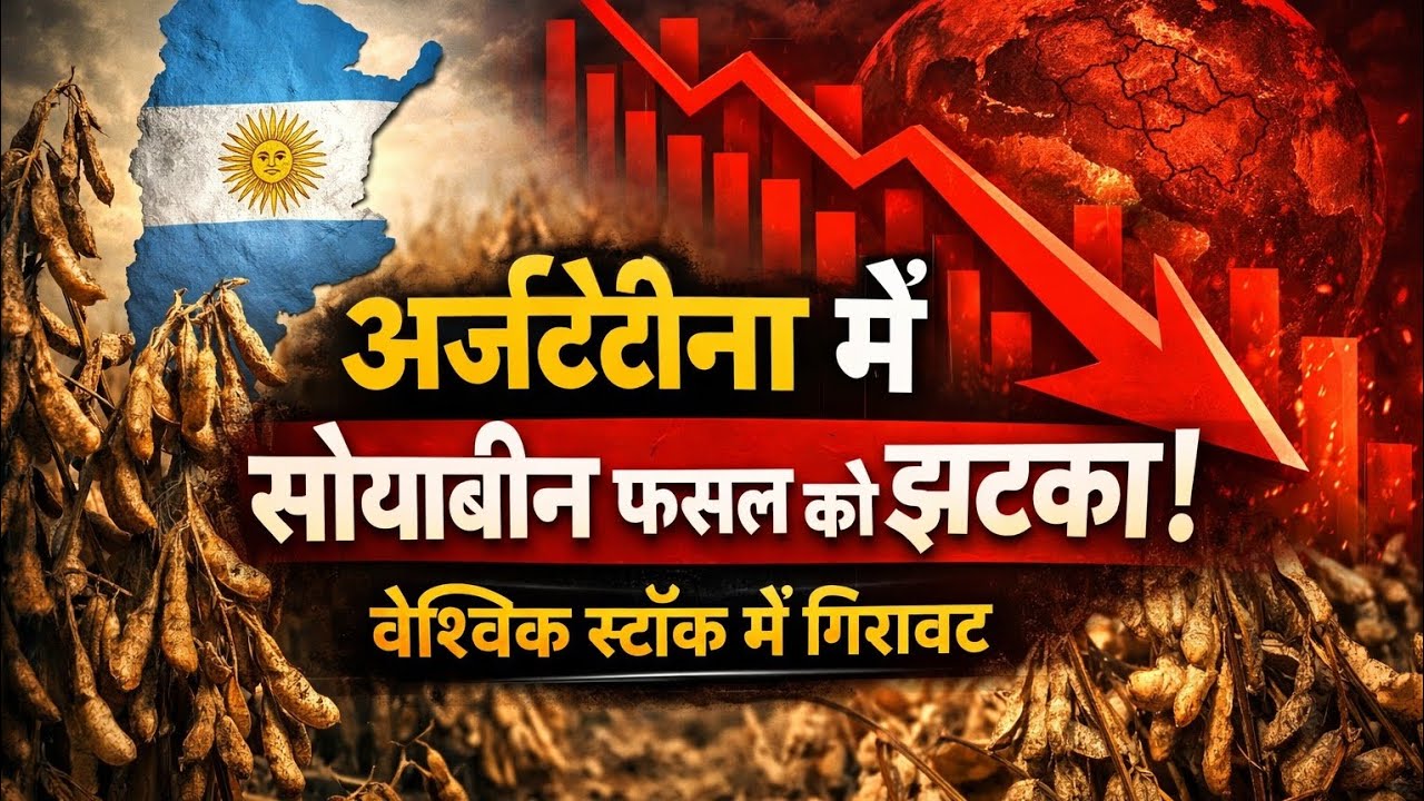 अर्जेंटीना में सोयाबीन की फसल को झटका: वैश्विक सोयाबीन स्टॉक में गिरावट विशेष रिपोर्ट।