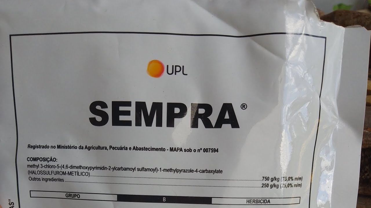 verdadeiro mata Tiririca