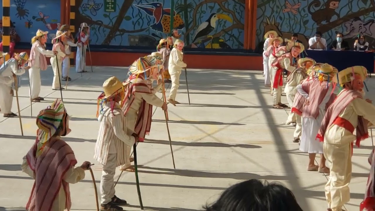 Baile de los Viejito escuela Primaria Alfredo V Bonfil 4b