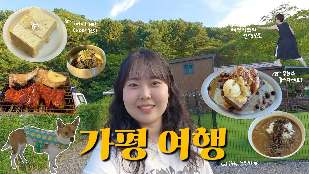 [애견동반] 뚜벅이들의 2박3일 가평여행 | 애견풀빌라, 계곡, 청평365마트, 닭갈비, 닭껍질튀김들기름막국수, 잣두부케이크, 불멍, 브런치카페