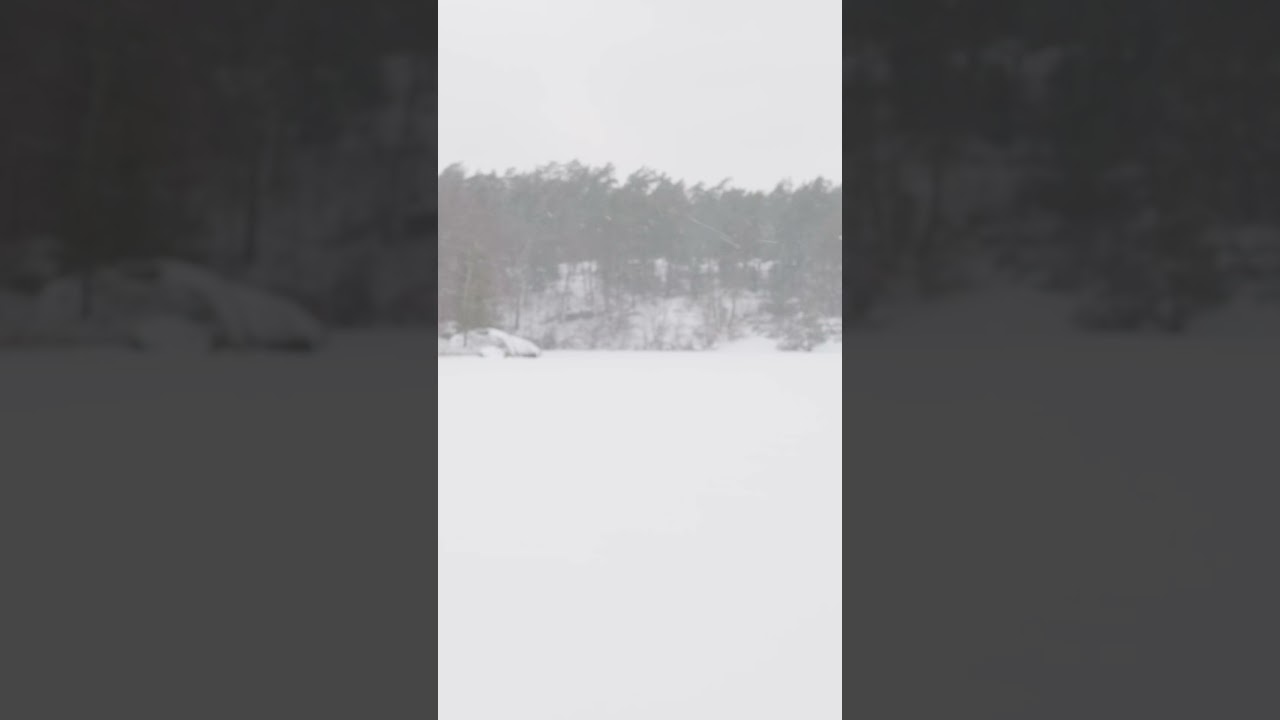 Snowfall on a frozen lake #winter #nature #relax #rivenmoss #ambientnature #calmclassicalmusic