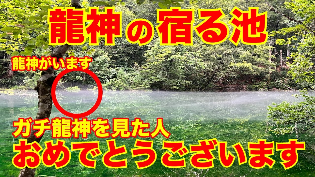 「八大龍王」を偶然見た人スーパー強運✨「おめでとうございます」龍神と結ばれます！極パワースポット　竜ヶ窪から朝の御氣をお届けします！参拝ライブ配信映像