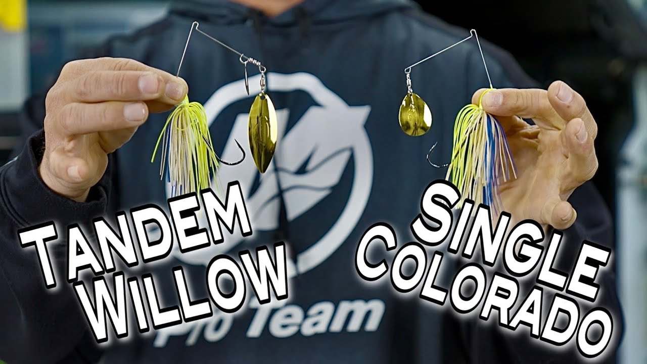 When and Where: Colorado Blade or Tandem Willow?