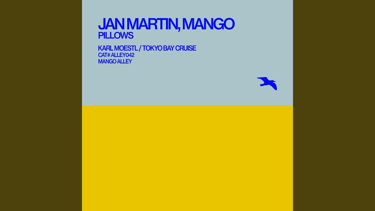 Pillows (Mango Version)