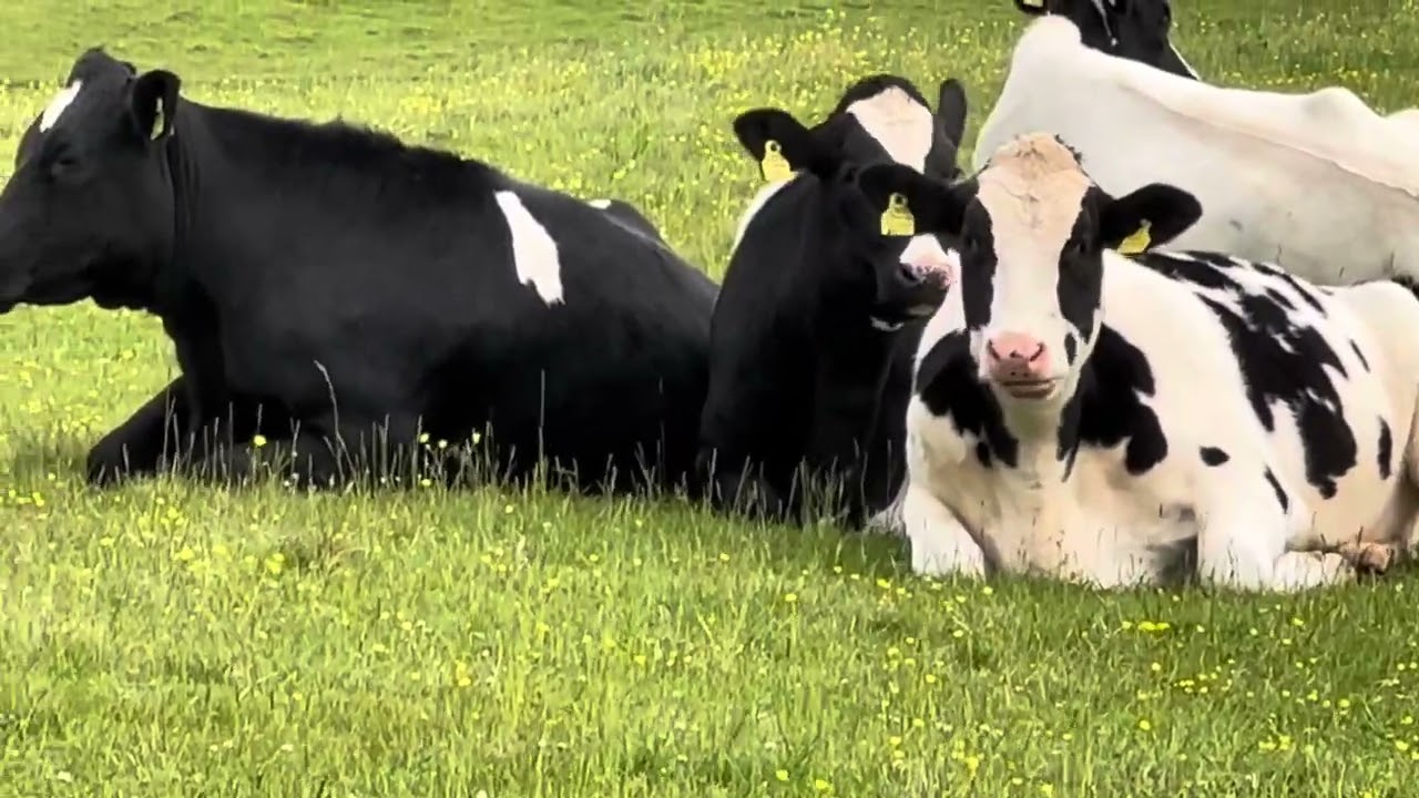 A tour of the farm