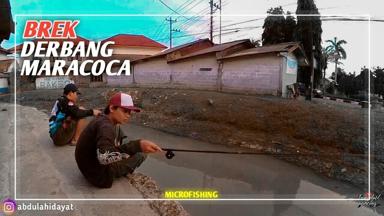 Microfishing Angler || Strike Banyak Ikan Maracoca Di Sungai Kecil