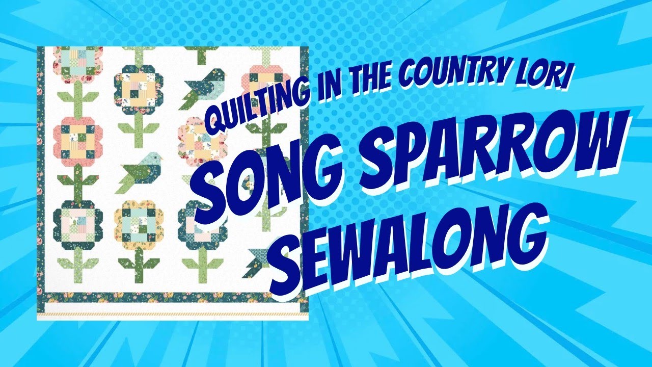 More Songsparrow  and Quilty Chat at 10:15 am