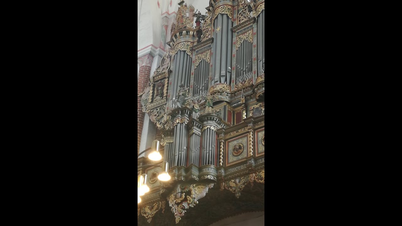 23 August 2018 - Organ Concert in Roskilde (DK) - Manuel Tomadin