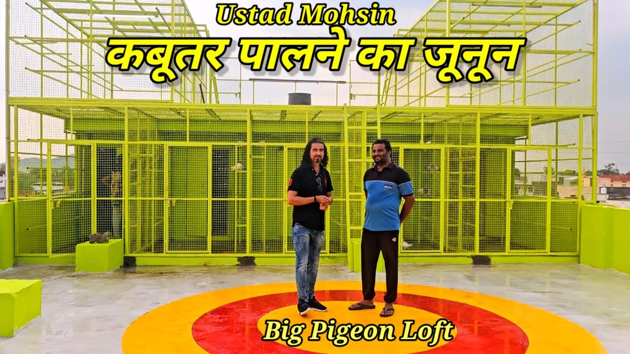 Kabootar Palne Ka Junoon | कबूतर पालने का जुनून | Big Pigeon Loft | Ustad Mohsin|Jaipur Tonk Pigeons